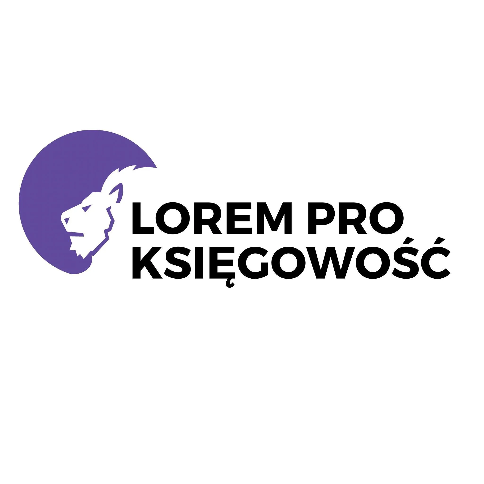 Lorem Pro Księgowość sp. z o.o.