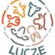 Lucze sp. z o.o.