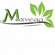 Maxvega sp. z o.o. + limited partnership