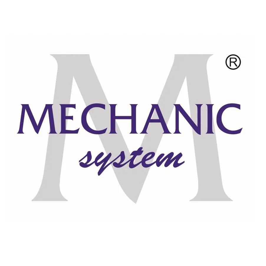 Mechanic System sp. z o.o.