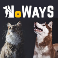 Noways sp. z o.o.