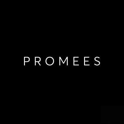 Promees Group sp. z o.o.