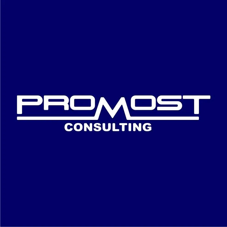 Promost Consulting sp. z o.o. + limited partnership