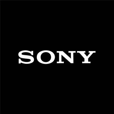SONY Europe B.V. Branch (foreign co.)