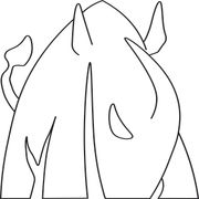 Scandinavian Rhino sp. z o.o.