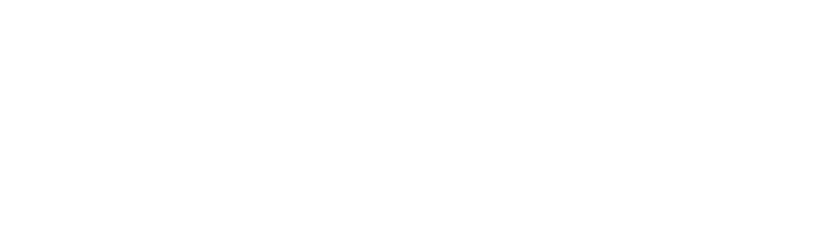 Segel Elektrik sp. z o.o.