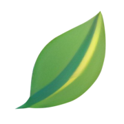 Stowarzyszenie Esg Impact Network Association