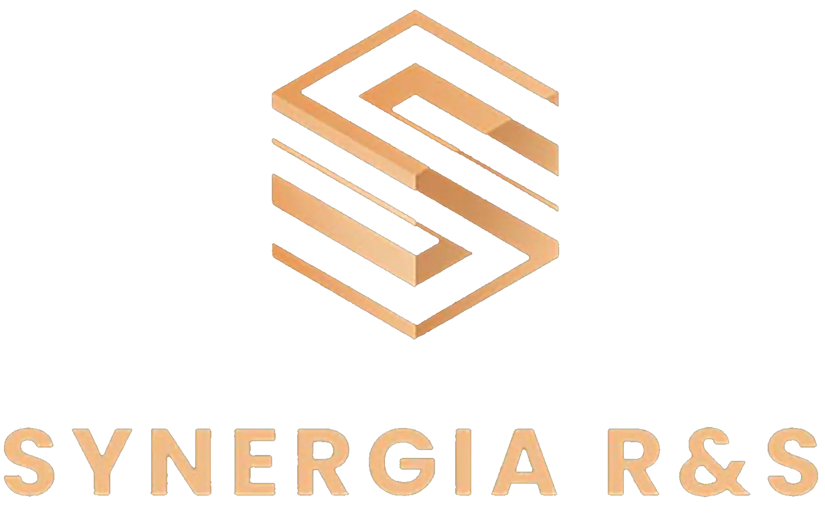 Synergia R&S sp. z o.o.