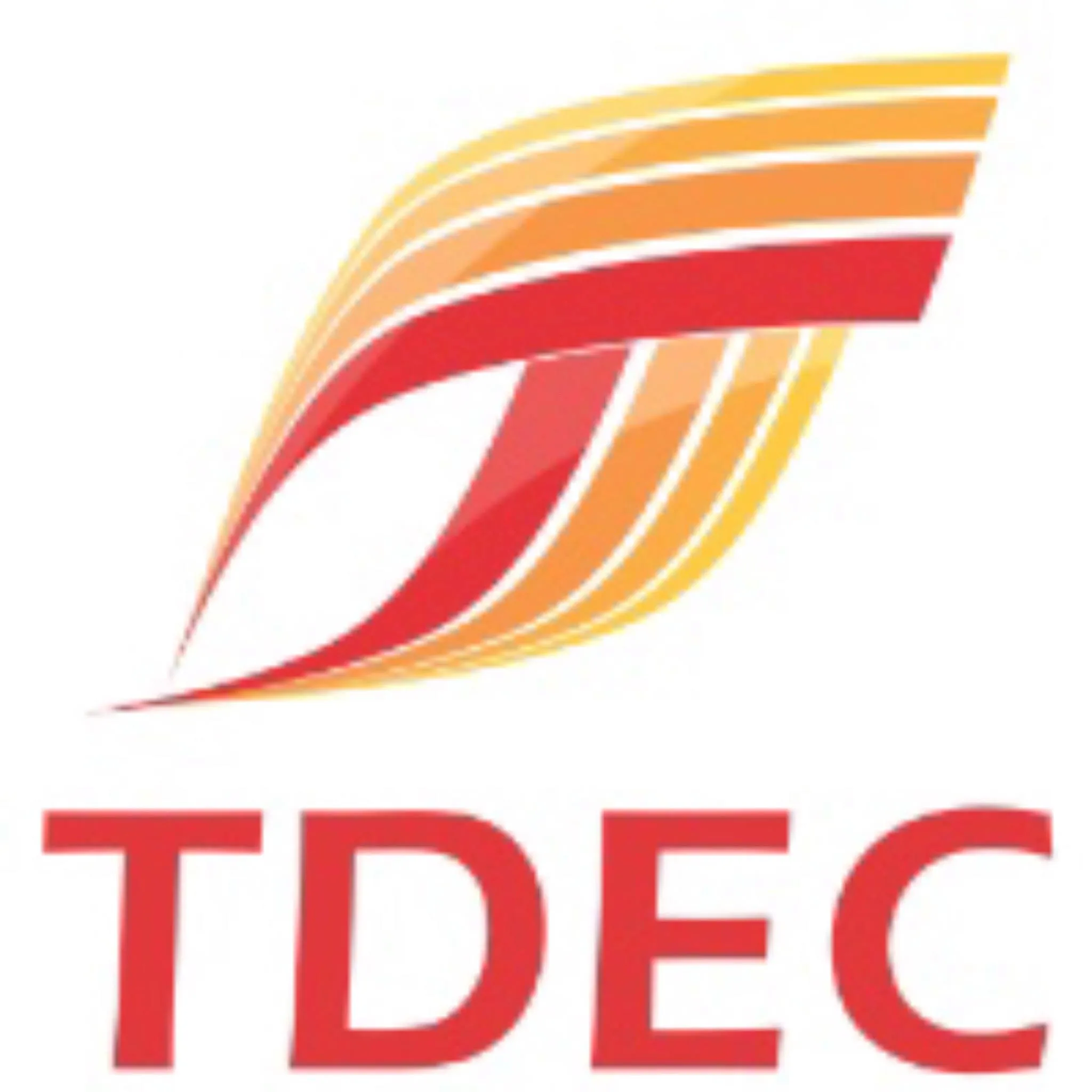 TDEC Group sp. z o.o.