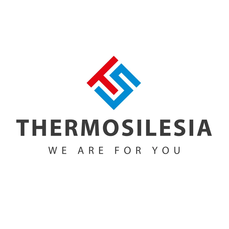 Thermosilesia sp. z o.o. + Kommanditgesellschaft