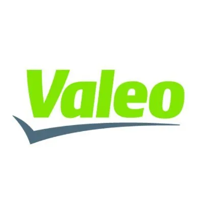 Valeo Electric and Electronic Systems