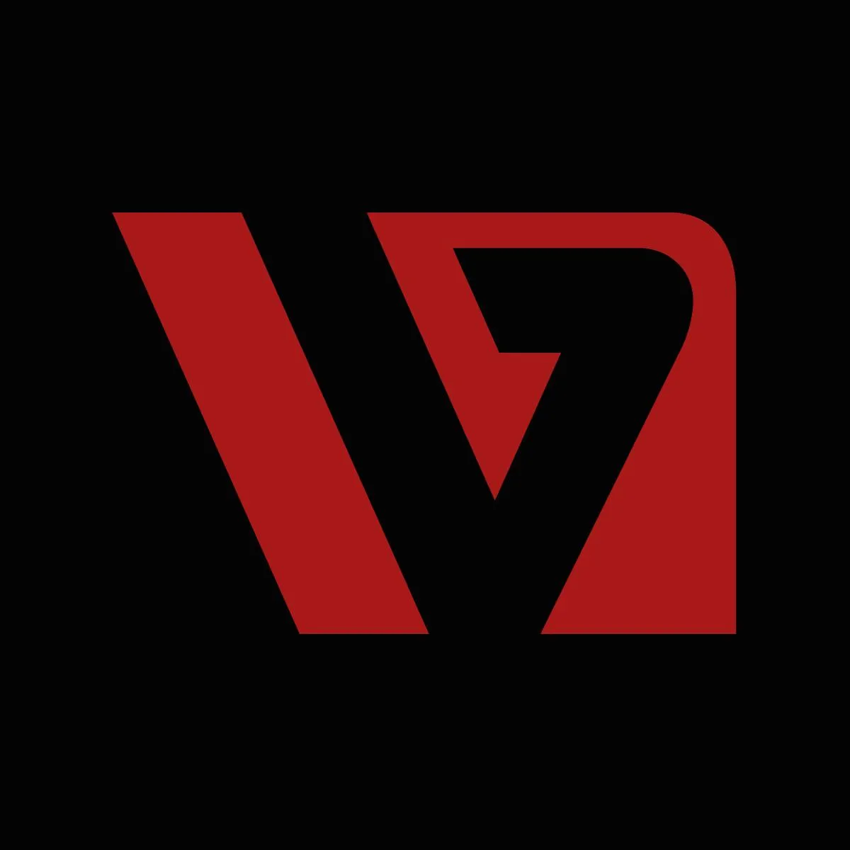 Visline Express sp. z o.o. + limited partnership