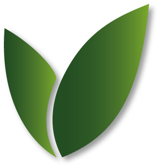 Verde Group sp. z o.o.