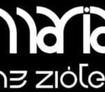 M3ziolek sp. z o.o.