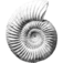 Jurajska S.A.