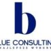 Blue Consulting sp. z o.o.