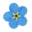 Fundacja Biocenosis Foundation