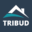 Tribud
