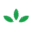 Agro Pomerania Markiewicz