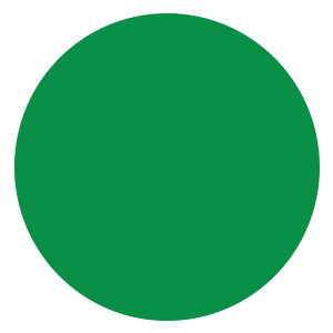 Fundacja Kultury Deskorolki Foundation