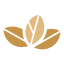 Teanergy sp. z o.o.