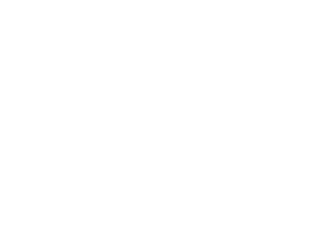 ZW Finanse sp. z o.o.