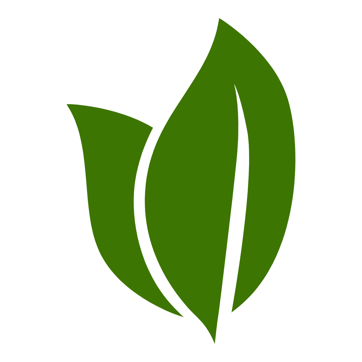 Flora Verde - Dawid Jędrzejczak
