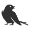 Grey Sparrow Filip Lendzion