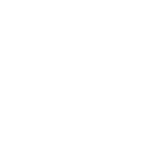Sygnet Czarter Anita Sygnowska
