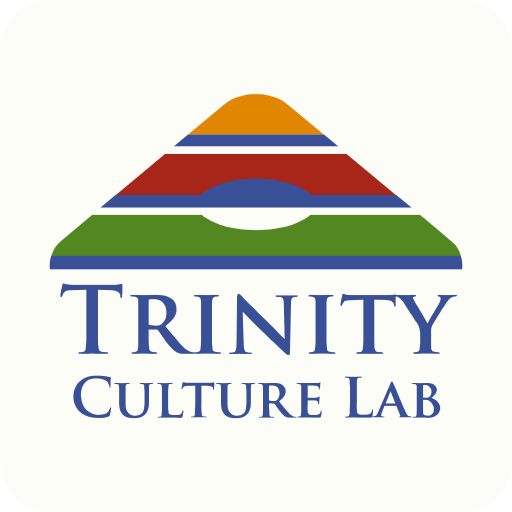 Trinity Culture Lab Piotr Frankowski