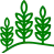 Factoryherbs Maciej Dzyr
