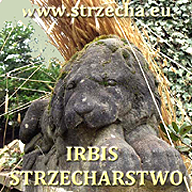 P.P.H.U. Irbis-Trading Ireneusz Sikorski