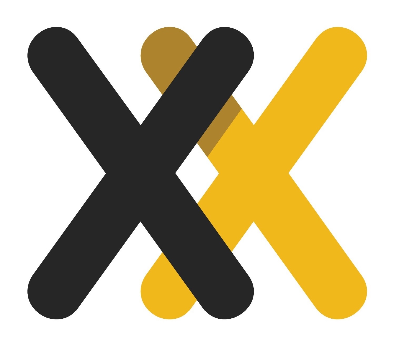 Xxnet Łukasz Rakowski