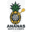 Ananas Darts & Events Kamil Stańczyk