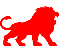 RED Security Dawid Radziński