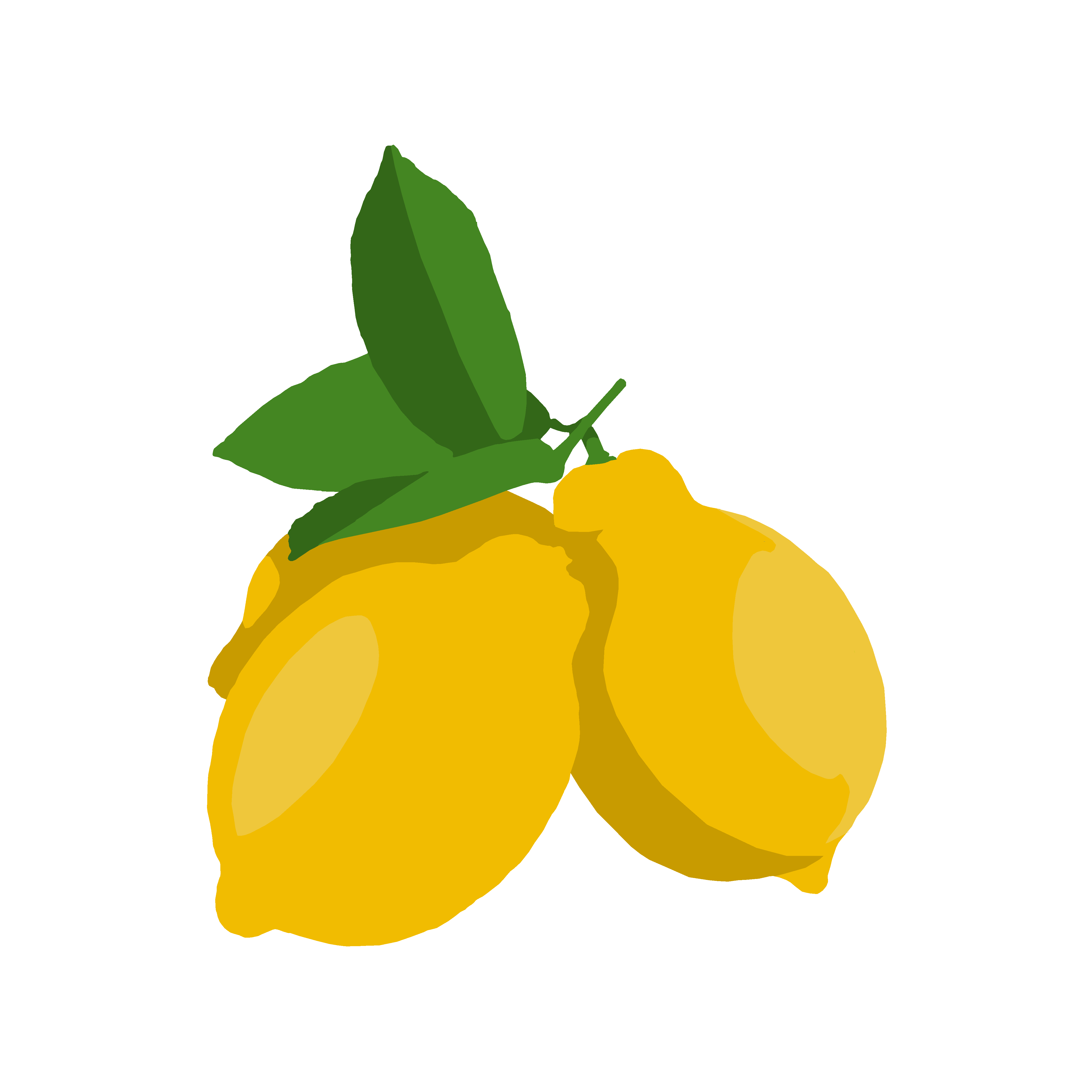 Limonetravel Norbert Litwicki