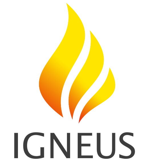 Biuro Projektowo-Konsultingowe Igneus Zbigniew Czaja