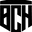 Bartosz Chojnicki Performance