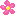Flower Farm Łukasz Górny