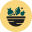 Formamedica Dominik Nadulicz