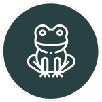 Marcin Wargocki Frog-Garden