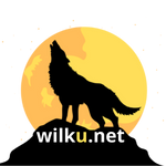 Patryk Wolf Seo & Web Design
