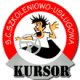 Firma Szkoleniowo-Usługowa Kursor Beata Lubszczyk