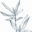 Katarzyna Zarzycka Design