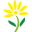 Magdalena Lachowska Stokrotka Centrum Logopedyczno-Terapeutyczne
