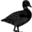 Agencja Reklamy Blackgoose.Pl Marcin Piątek