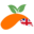 Agnieszka Kowalska Szkoła Językowa English Yes