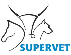 Jędrzej Wąsowski Gabinet Weterynaryjny Supervet