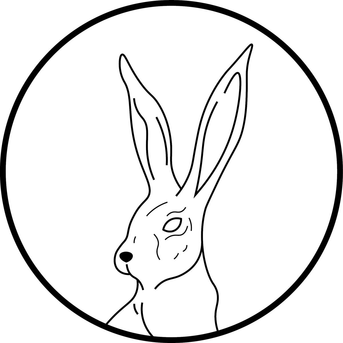 Hare Media Marek Zajączkowski