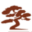 Kaizen Perfection Leszek Ciosek